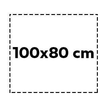 100×80