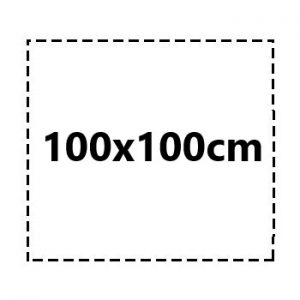 100×100